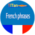 daily French phrases - learn French language 3.1.0