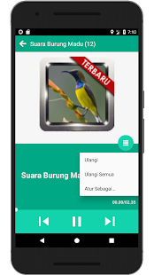 Masteran Kicau Burung Madu(圖5)-速報App
