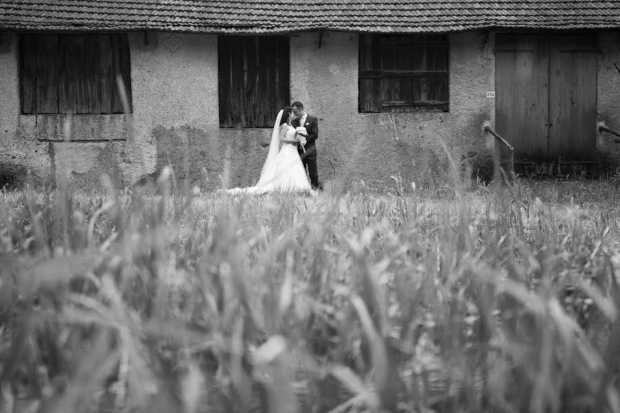 Fotógrafo de casamento Giulia Molinari (molinari). Foto de 4 de junho 2017