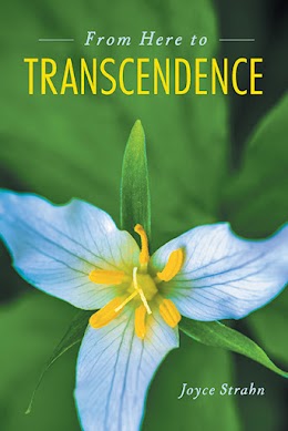 From Here to Transcendence cover