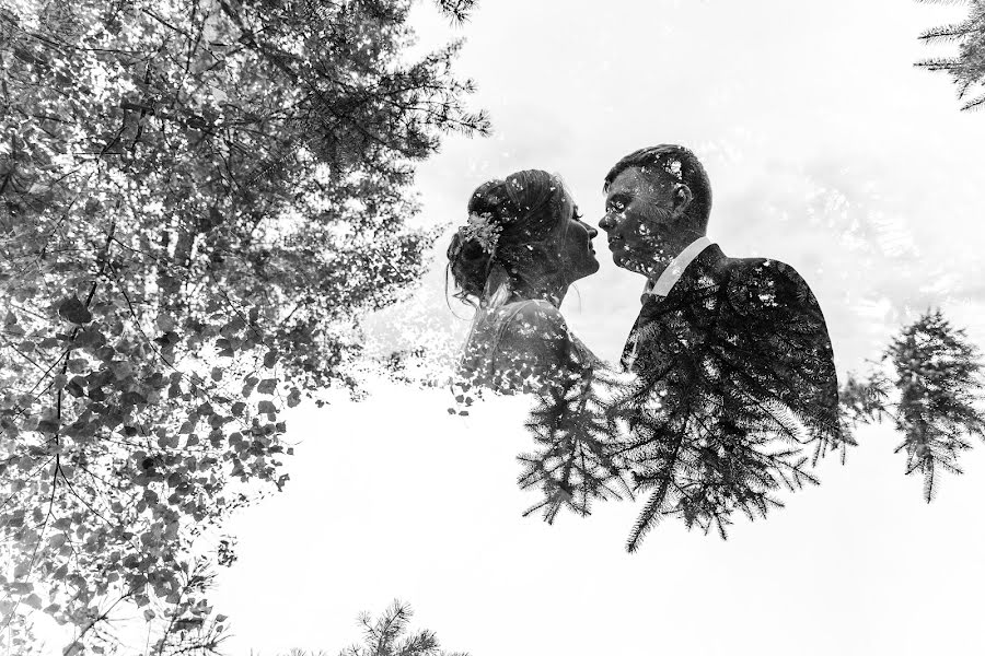 Wedding photographer Elena Lovcevich (elenalovcevich). Photo of 19 September 2019