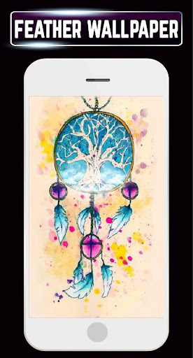 HD Peacock Feather wallpaper Backgrounds Gallery