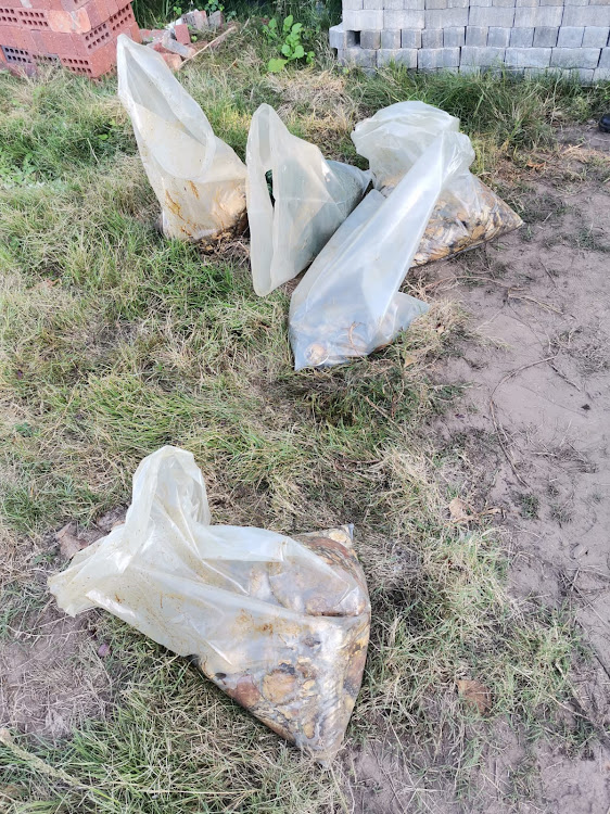 Two people were arrested after police found five bags of perlemoen in the boot of a vehicle in Gqeberha on Wednesday