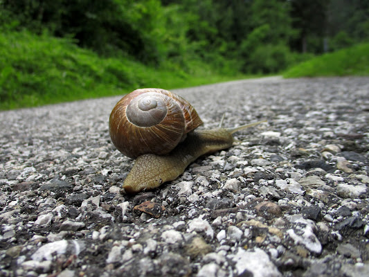 Ancora un piccolo sforzo ... di LunaStorta