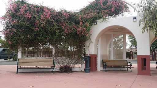 Vineyard Pavilion 2