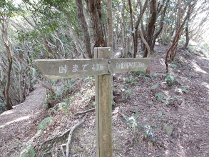 八ヶ竈八幡神社分岐