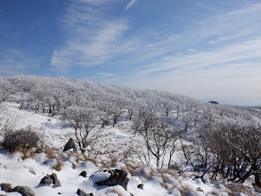 山頂の霧氷の様子