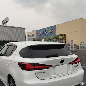CT ZWA10