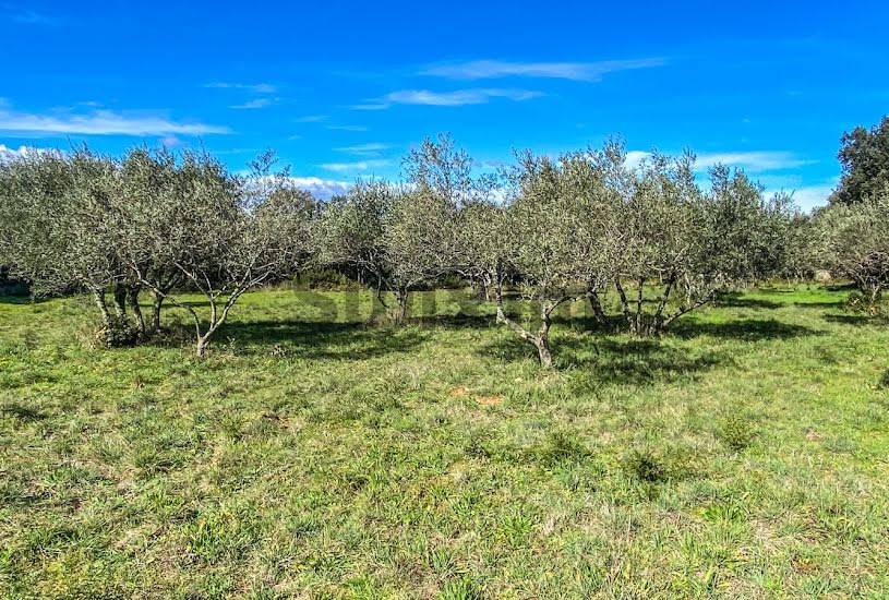  Vente Terrain à bâtir - 1 764m² à Saint-Siffret (30700) 