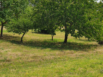 terrain à Odars (31)