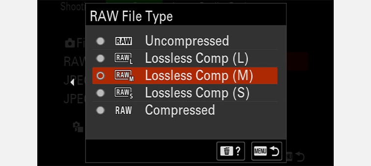 Image of menu display for selecting the type of RAW file