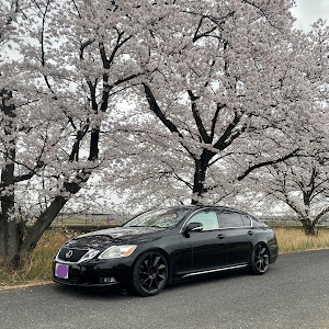 GS GRS191