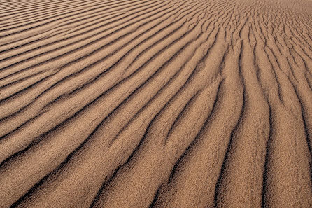 Fotografer pernikahan Dmitriy Li (dmitrylee). Foto tanggal 26 Juli 2019