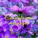 Download CONDOLENCES TEXT MESSAGES & NOTES E-CARDS For PC Windows and Mac 1.3