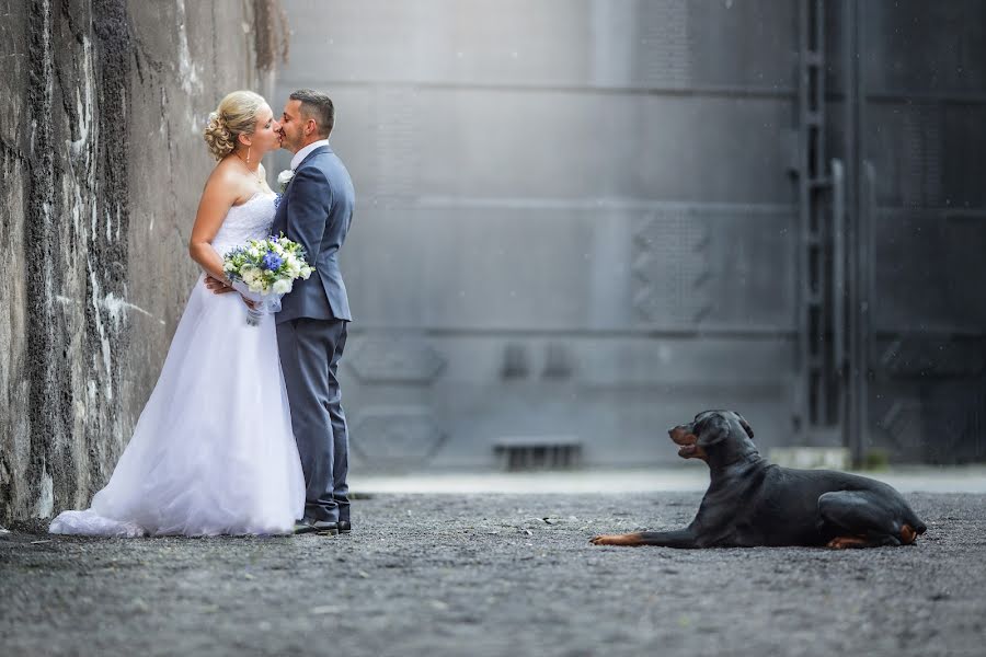 Svatební fotograf Jan Zavadil (fotozavadil). Fotografie z 12.ledna 2018