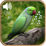 Cover Image of Télécharger Dernières sonneries d'oiseaux 2019 2.2 APK