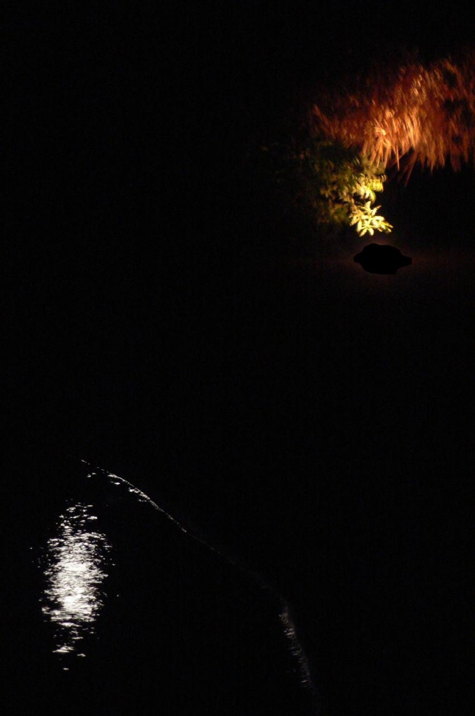 Bagno di luna piena, con ardore di clic