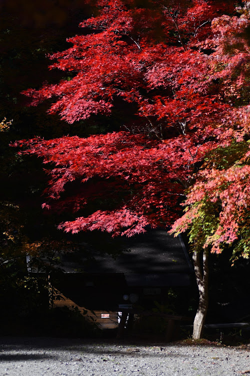 の投稿画像7枚目