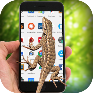 Lizard On Screen 1.0 Icon