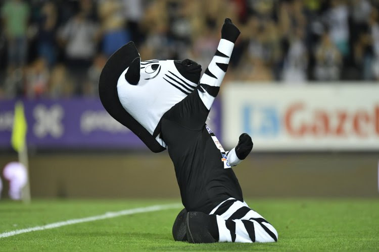 Charleroi lance un appel à ses fans : qui veut devenir Super Zèbre ?