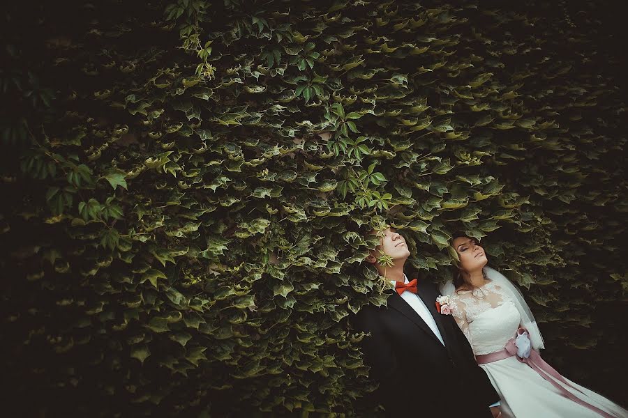 Wedding photographer Ivan Popov (ipopov). Photo of 20 October 2014