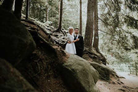 Fotógrafo de bodas Michał Gałczyński (galczynskifoto). Foto del 10 de abril 2019