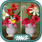 Find the Difference Flowers – Spot the Differences 2.1.1