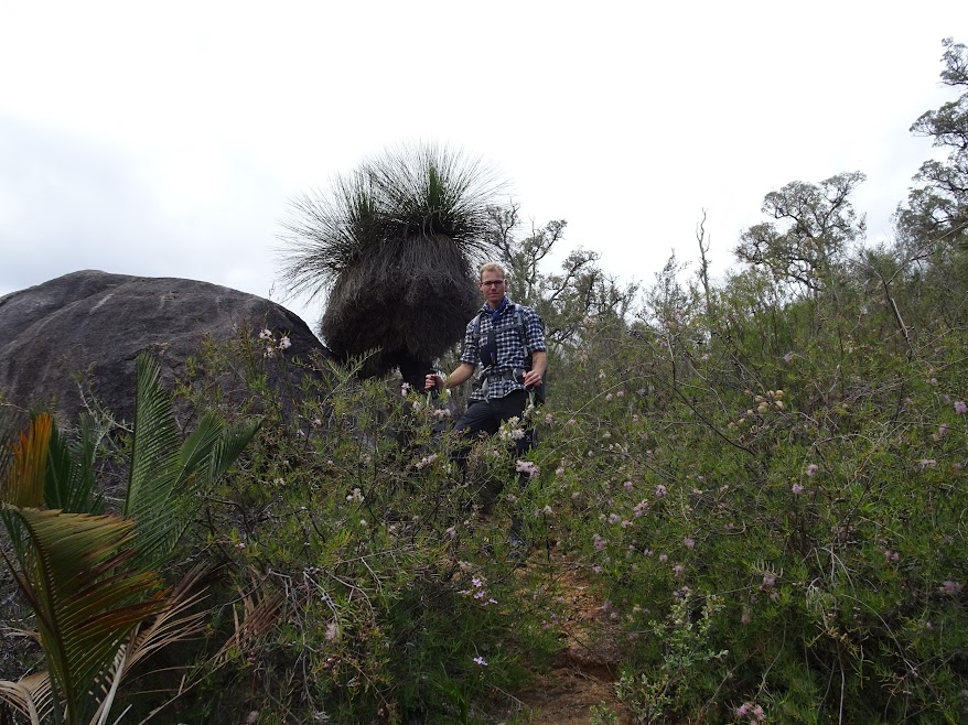 The exotic flora is dense in some parts of the track