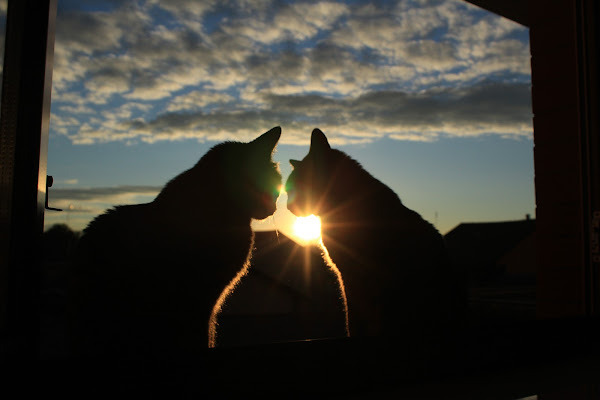 tramonto romantico di phototriba