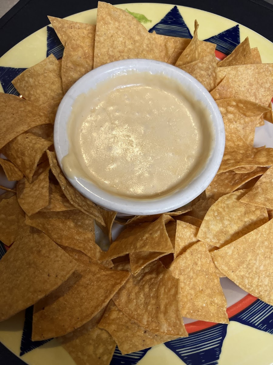 queso blanco served with corn chips