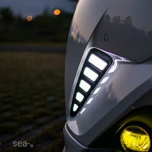 C-HR NGX50