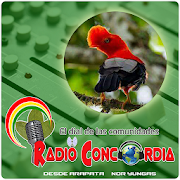 Radio Concordia de Arapata  Icon