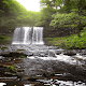 Download Jungle Waterfall Live Wallpaper For PC Windows and Mac 3