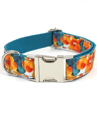 Collier pour chien Teddy Pomeranian - 2