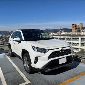 RAV4 MXAA54