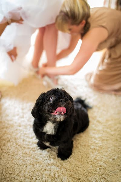 Fotógrafo de casamento Neil Redfern (neilredfern). Foto de 25 de junho 2017