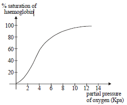 Transport of Gases in Blood