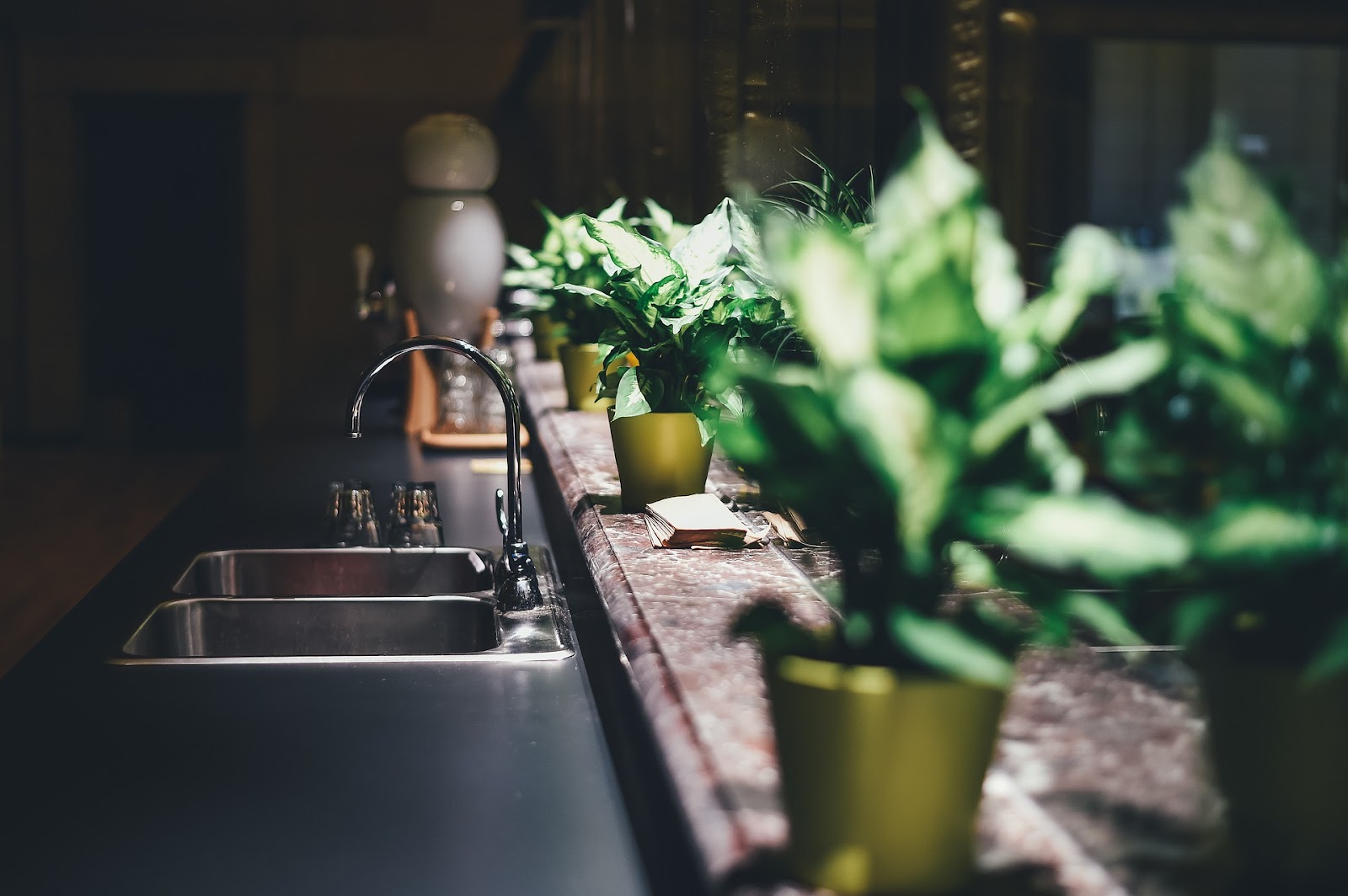 Kitchen with plants