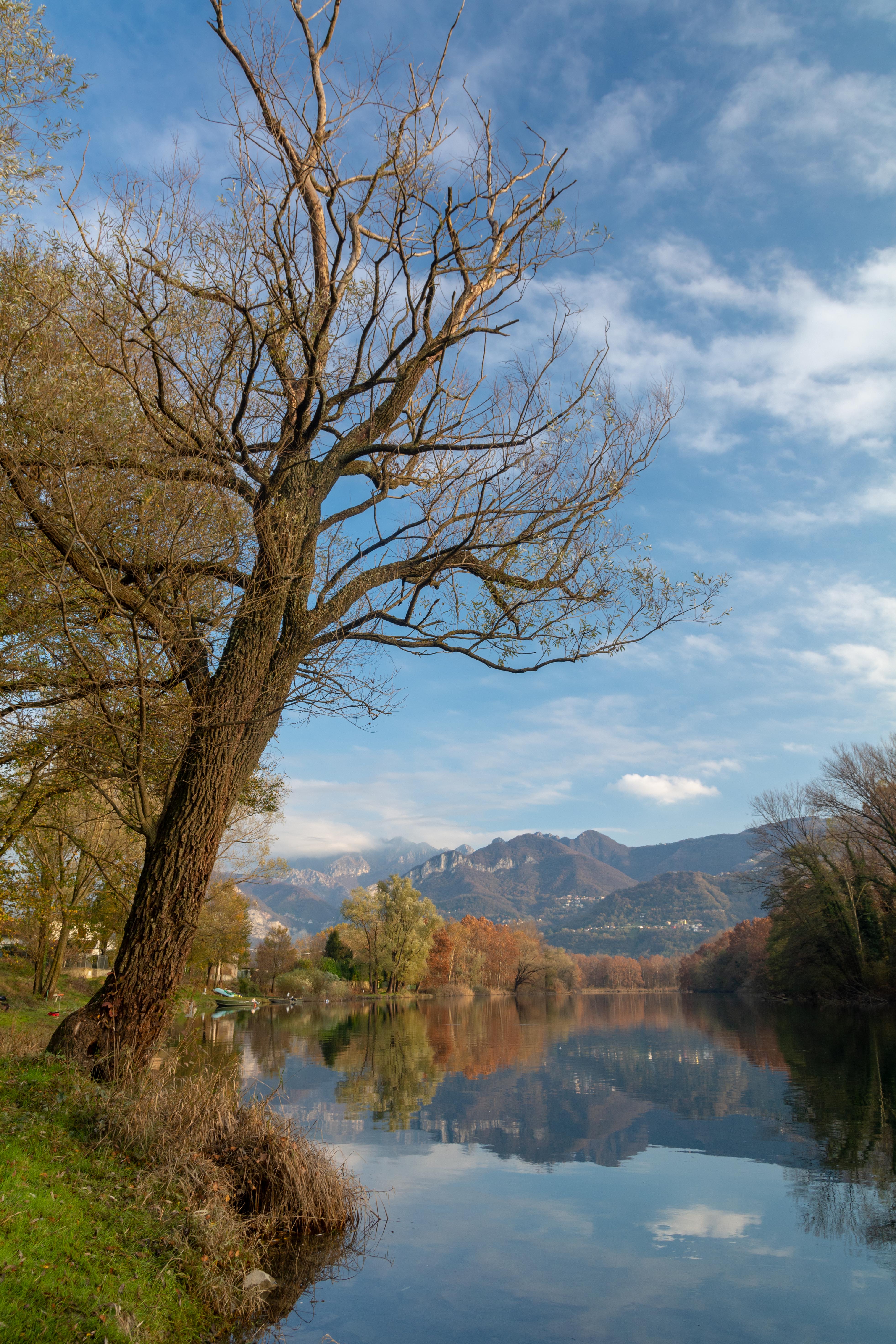 lungo il fiume di davide negro