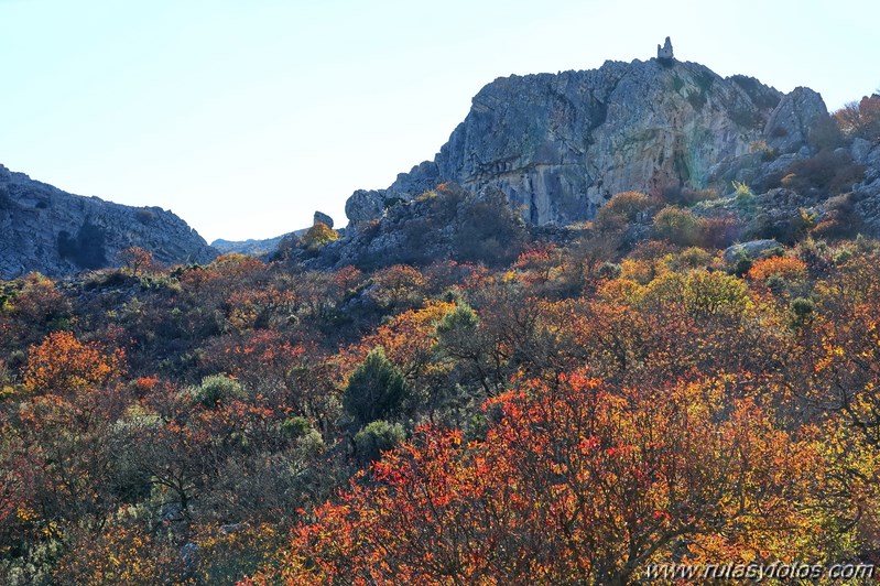 Cornicabral del Valle de Lifa