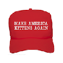 Make America Kittens Again Chrome extension download