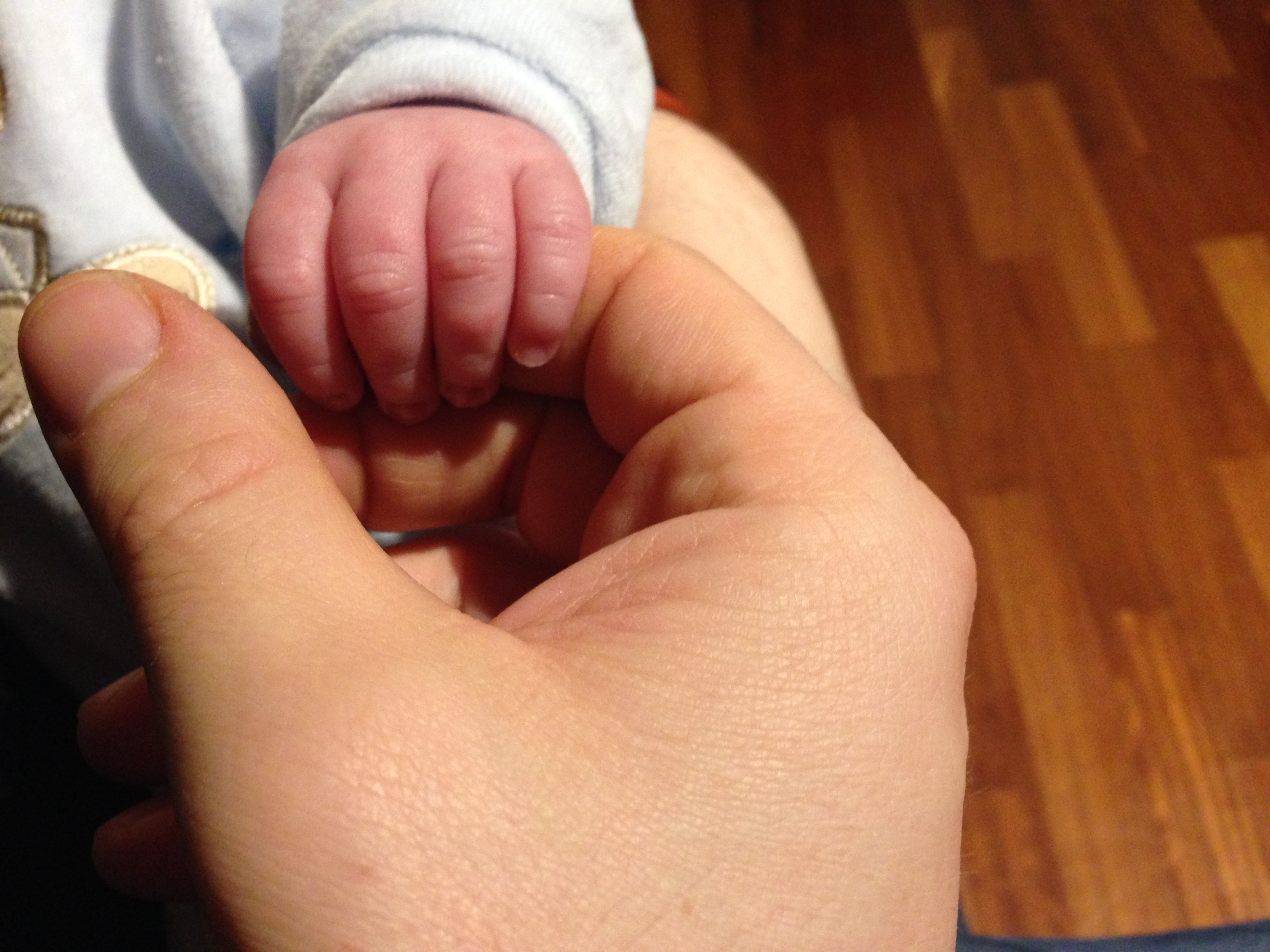 Vita di emanuela_dolci