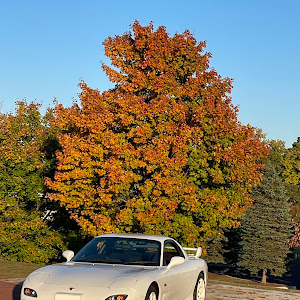 RX-7 FD3S 後期