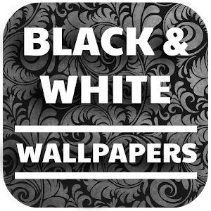 Download Black and White Wallpapers (4K, Full HD) For PC Windows and Mac