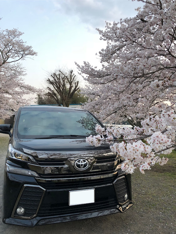 ヴェルファイアのローガン・御田家🍢・目指せPickUpCars・眼力選手権・コロナが早く終息しますようにに関するカスタム事例の投稿画像4枚目