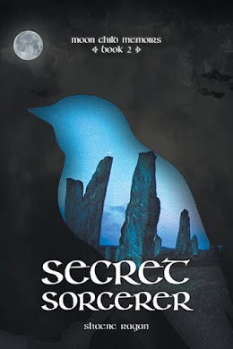 Secret Sorcerer cover