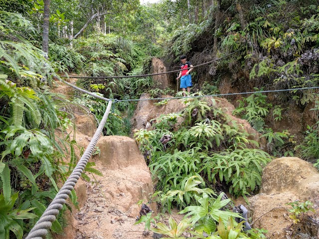 Gunung Angsi via Ulu Bendul