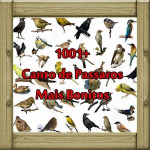 100+ Canto de Pássaros mais bonitos 1.4 Icon