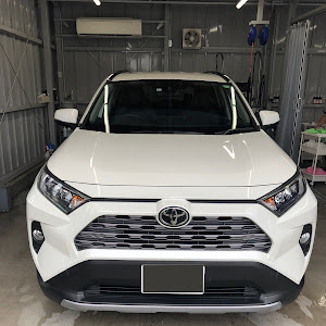 RAV4 MXAA54