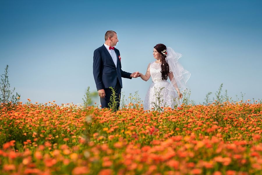 Fotógrafo de casamento Dmitriy Korol (icor). Foto de 19 de novembro 2018